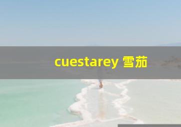 cuestarey 雪茄